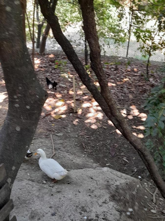 Camping Late Gjirokastër Exterior foto
