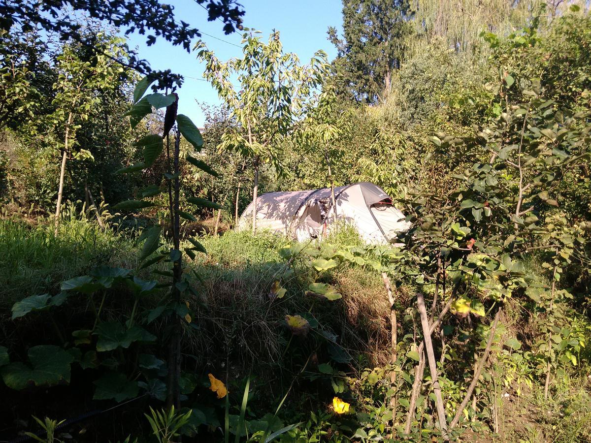 Camping Late Gjirokastër Exterior foto